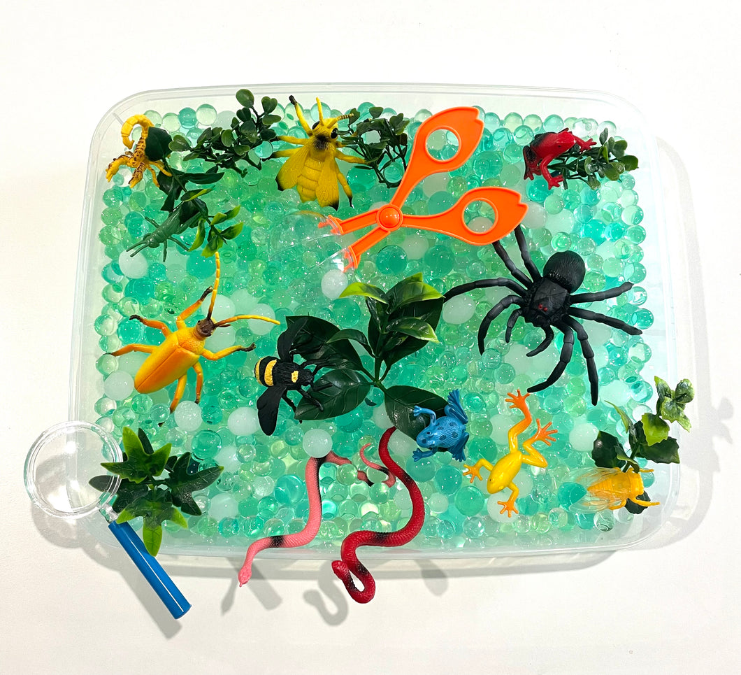 Water Beads - Bugs