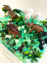 Load image into Gallery viewer, Water Beads - Dinosaur Kit
